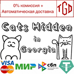 Cats Hidden in Georgia | Steam РУ+UA+KZ+СНГ