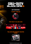 Tokyo TGS game show 2024 Bundle ⭐/Black Ops6