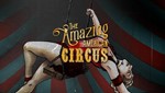 The Amazing American Circus  Steam Region free +