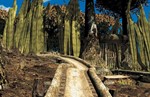 Riven: The Sequel to MYST  Steam Global Regionfree + - изображение № 3