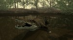 Cabela's: Dangerous Hunts STEAM Gift  - RU/CIS - изображение № 3
