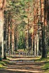 Света, я вернулся - роман, фентези