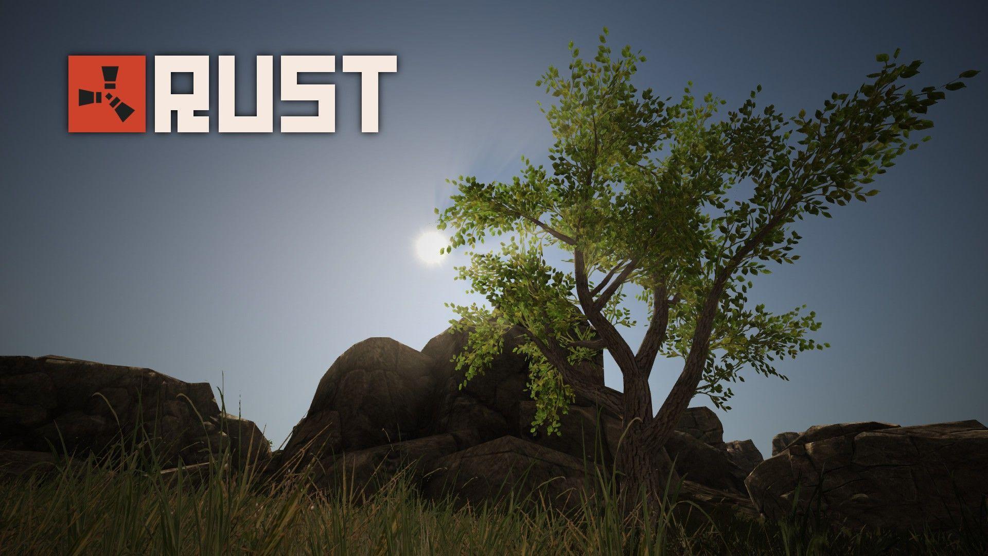 ⭐️STEAM⭐️ RUST ⭐️ РАБОТАЕТ ОНЛАЙН ⭐️ (без региона) ⭐️