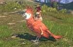 ⭐️ Elyon Red Parrot Mount - KAKAO GAMES Ключ ГЛОБАЛ
