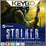 S.T.A.L.K.E.R.: Shadow of Chernobyl Steam-RUАВТО 0%