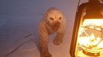Dread Hunger · Steam GiftАВТО0% Карты - изображение № 5