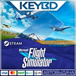 Microsoft Flight Simulator 40th Anniversary Edition