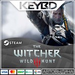The Witcher 3: Wild Hunt  Steam Gift 0%