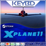 X-Plane 11 · Steam GiftАВТОДОСТАВКА0%
