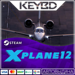 X-Plane 12 · Steam GiftАВТОДОСТАВКА0%