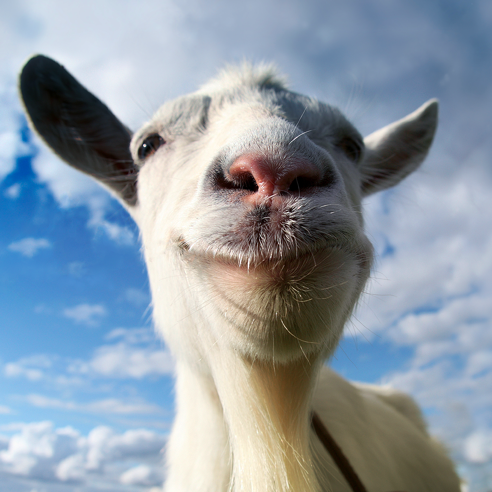   Goat Simulator iPhone ios iPad Appstore +БОНУС 