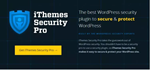 2. IThemes Security Pro — один из лучших плагинов безоп