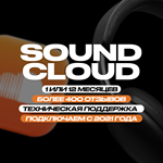 SOUNDCLOUD NEXT PRO • 1/12 МЕСЯЦЕВ • ВАШ АККАУНТ