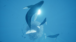  ABZU Xbox One & Xbox Series X|S активация - изображение № 6