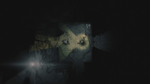  Darkwood Xbox One & Xbox Series X|S активация - изображение № 9
