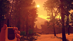  Firewatch Xbox One & Xbox Series X|S активация - изображение № 5