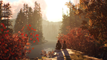  Life is Strange 2: полное издание Xbox активация - изображение № 8