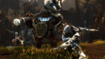  Kingdoms of Amalur: Re-Reckoning Xbox активация - изображение № 4