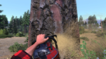  Lumberjack's Dynasty Xbox One|X|S активация - изображение № 2
