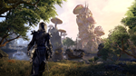  The Elder Scrolls® Online Xbox One|X|S активация - изображение № 4