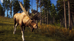  Way of the Hunter: Elite Edition Xbox активация - изображение № 2