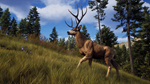  Way of the Hunter: Elite Edition Xbox активация - изображение № 3