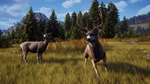  Way of the Hunter: Elite Edition Xbox активация - изображение № 11