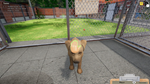  Animal Shelter Simulator Xbox One|X|S активация - изображение № 6