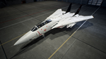 ACE COMBAT 7 - TOP GUN: Maverick Edition Xbox активация - изображение № 4