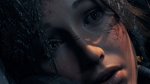 Rise of the Tomb Raider 20 Year Celebration Xbox актива - изображение № 5