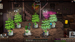  Weedcraft Inc Xbox One & Xbox Series X|S активация - изображение № 3