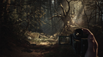  Blair Witch Xbox One & Xbox Series X|S активация - изображение № 9