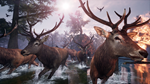 Away : The Survival Series Xbox One|X|S активация - изображение № 4