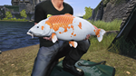 Euro Fishing: Ultimate Edition Xbox One|X|S активация - изображение № 7