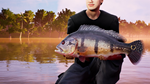 Fishing Sim World: Pro Tour Collector's Ed Xbox активац - изображение № 8