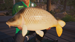 Fishing Sim World: Pro Tour Collector's Ed Xbox активац - изображение № 4