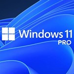 Windows 11 Pro 32/64 bit License key Warranty