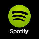  Spotify Premium 12 Месяцев | Личный кабинет