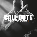 Все регионы️⭐Call of Duty: Black Ops 2 STEAM