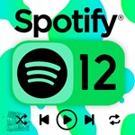SPOTIFY PREMIUM 1-3-6-12 МЕСЯЦЕВ НА ЛЮБОЙ АККАУНТ