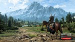 ️ The Witcher 3: Wild Hunt Steam Offline