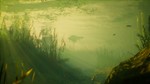 Maneater EpicGames (PC) Online  Русский - изображение № 11