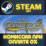 Harry Potter: Quidditch ChampionsСТИМПКГИФТ