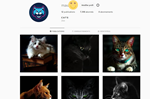 Аккаунты в Instagram с более чем 10k подписчиков