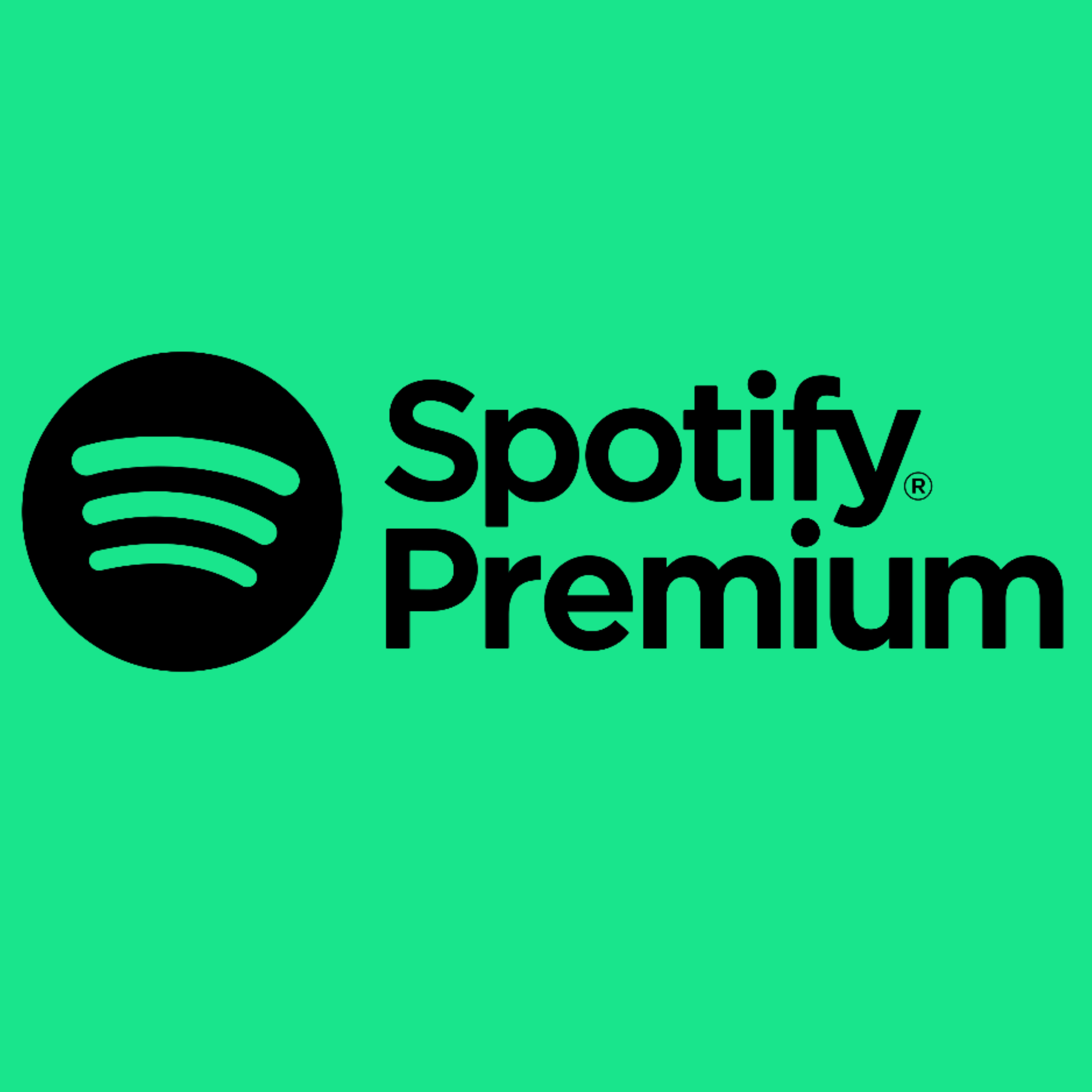 🏆💚3/6/12 МЕСЯЦЕВ SPOTIFY🔥PREMIUM🚀РАБОТАЕТ РФ+МИР🔝✅