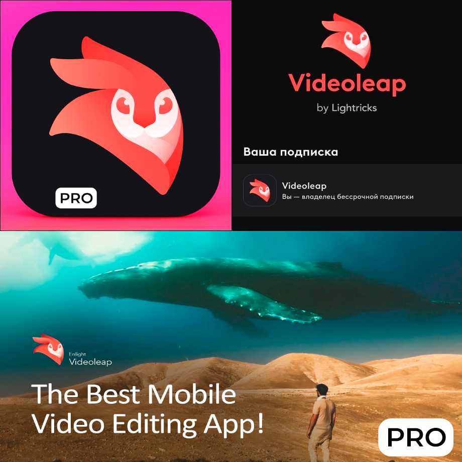 ⚡ Videoleap Видео от Lightricks PRO iPhone ios AppStore