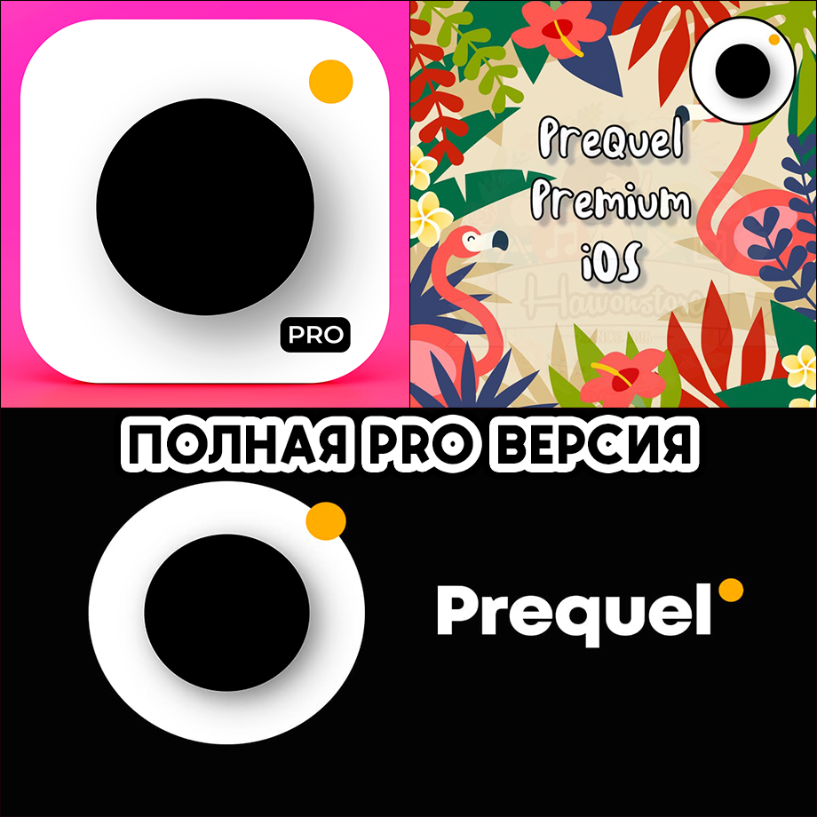 📷Prequel Редактор Фото и Видео PRO iPhone ios AppStore