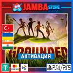 Grounded | PS4/PS5 | Выбор региона