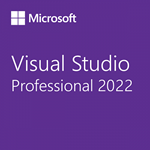 Microsoft Visual Studio Professional 2022