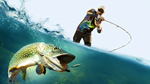 Pro Fishing Simulator PS4 & PS5